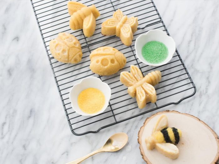 Nordic Ware Rainbow Bugs Cake recipe